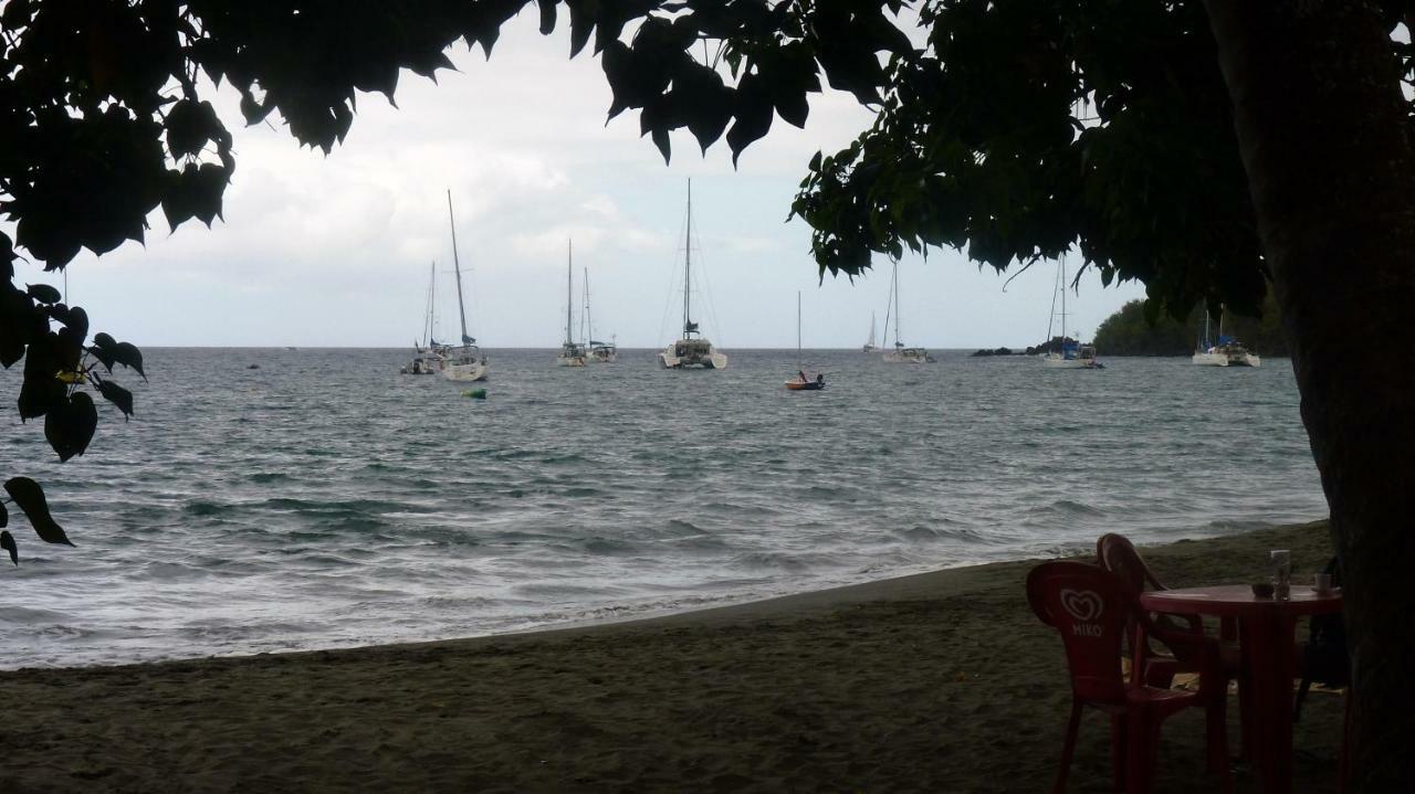 Cote Caraibes Daire Bouillante Dış mekan fotoğraf